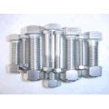 stainless steel hex bolt with nut